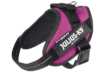 Julius K9 dog harness